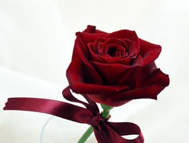 情人节